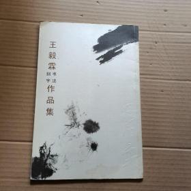 王毅霖书法篆刻作品集