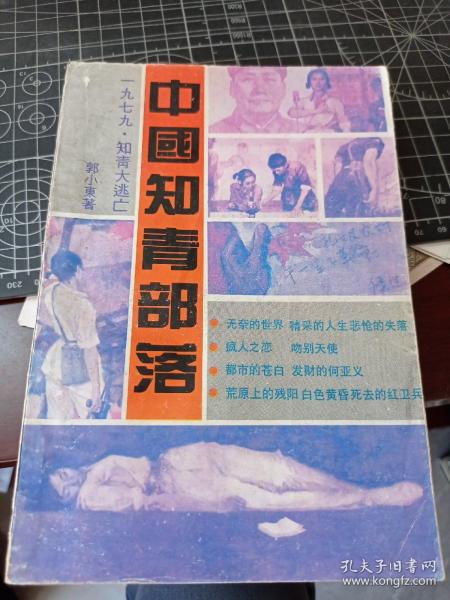 中国知青部落: 第一部  1979知青大逃亡