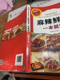 百姓家常菜系列：麻辣鲜香一本就够  有破损  水印 脏污  字迹