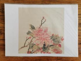 清 李培雨 画牡丹 高清复制画（纸本印刷）