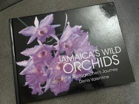 Jamaica's Wild Orchids A Photographer's Journey 牙买加兰花摄影