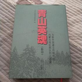 青山英魂 : 为新中国建立而牺牲的内蒙古地区部队
烈士名录。