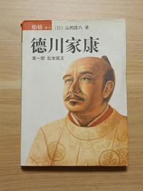 德川家康：乱世孤主