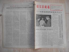 哈尔滨晚报  1966年11月8日 4版