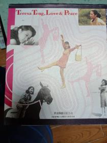 邓丽君1953-2005梦的延续 画册