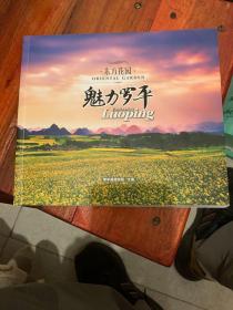 东方花园  魅力罗平