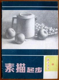 素描起步（学习美术绘画的基础书），大书