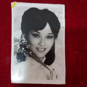 80年代赵雅芝明星照片