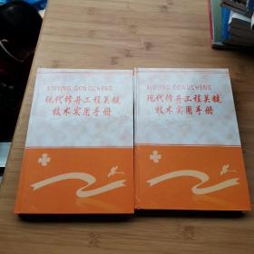 现代修井工程关键技术实用手册 （上下）【精装】