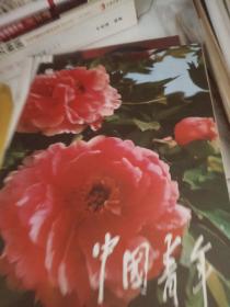 中国青年1979.6