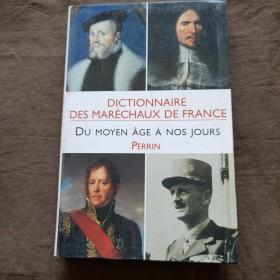 DICTIONNAIRE  DES MARÉCHAUX DE FRANCE法国马雷肖词典 DU MOYEN ÂGE À NOS JOURS从中世纪到现在