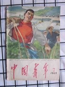 中国青年1965年第7期