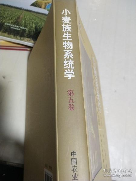 现代农业科技专著大系：小麦族生物系统学（第5卷）