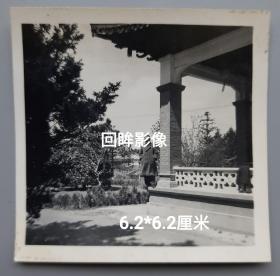 50年代扬州劳动公园