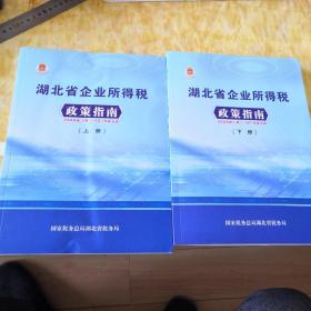 湖北省企业所得税政策指南（2008一2019）上下2册