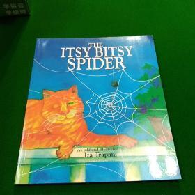 THE ITSY BITSY SPIDER