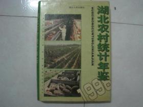 湖北农村统计年鉴（1998）（80848）