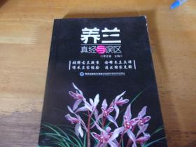 养兰真经与误区