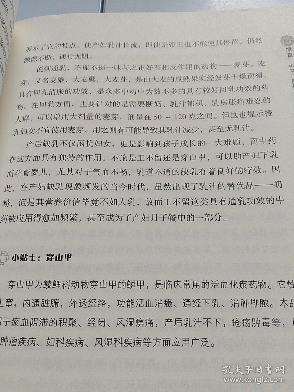 药缘文化中药与文化的交融