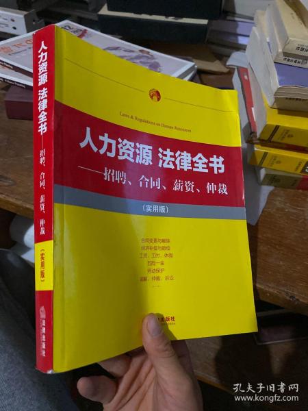 人力资源·法律全书 招聘、合同、薪资、仲裁（实用版）