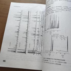 气相色谱检测方法