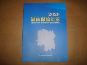 湖南保险年鉴2020（全新）