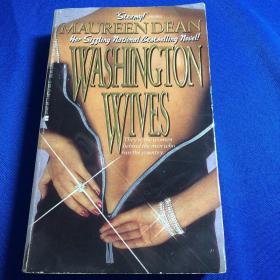 Washington Wives【英文原版】