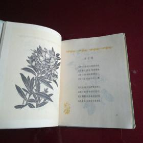 百花齐放(精装)