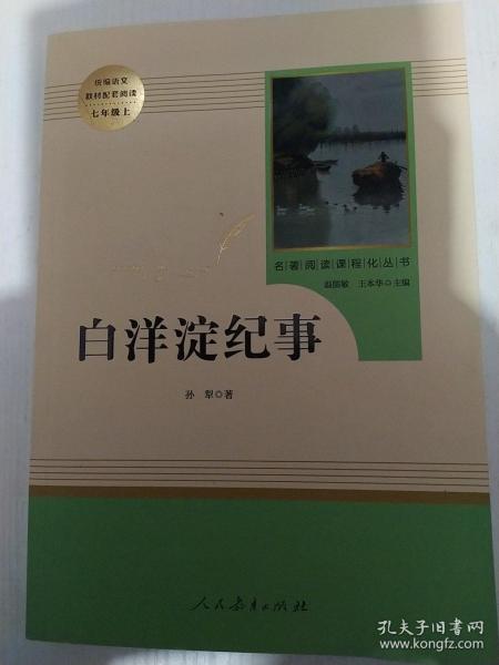 白洋淀纪事 名著阅读课程化丛书（统编语文教材配套阅读）七年级上