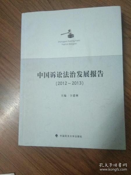 中国诉讼法治发展报告（2012～2013）