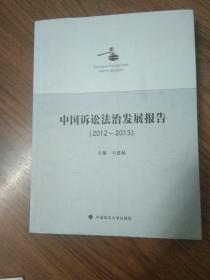 中国诉讼法治发展报告（2012～2013）