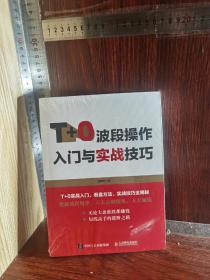 T+0波段操作入门与实战技巧