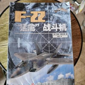 F一22猛禽战斗机