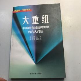 大重组:中国所有制结构重组的六大问题