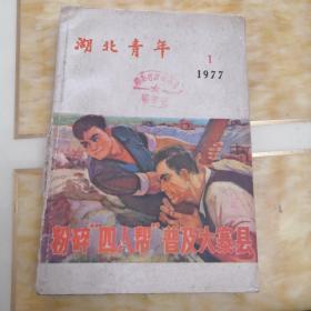 湖北青年（1977年1一6期）共6本