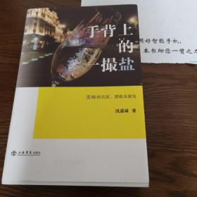 手背上的一撮盐:美味的沉淀、漂移及裂变