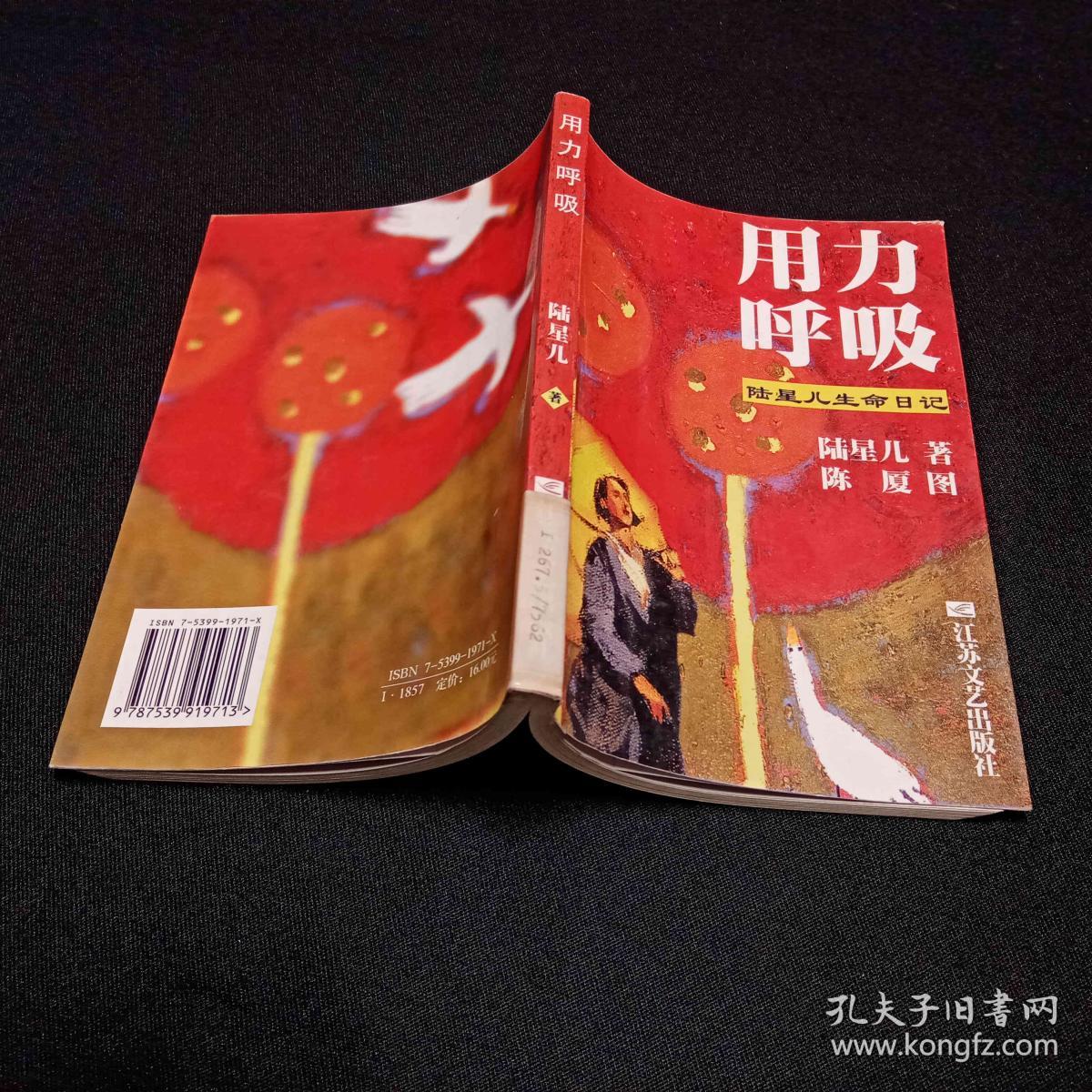 用力呼吸：陆星儿生命日记