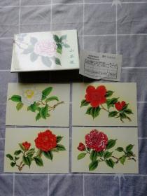 山茶花特种邮资明信片（4张一套齐）