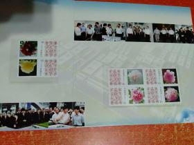 赛维LDK5周年(2005-2010)邮票册 邮票全【内含：马刚·庚寅年小本票、吕胜中·乙酉年小本票】