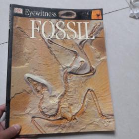 DK Eyewitness Books: Fossil DK化石大百科全书