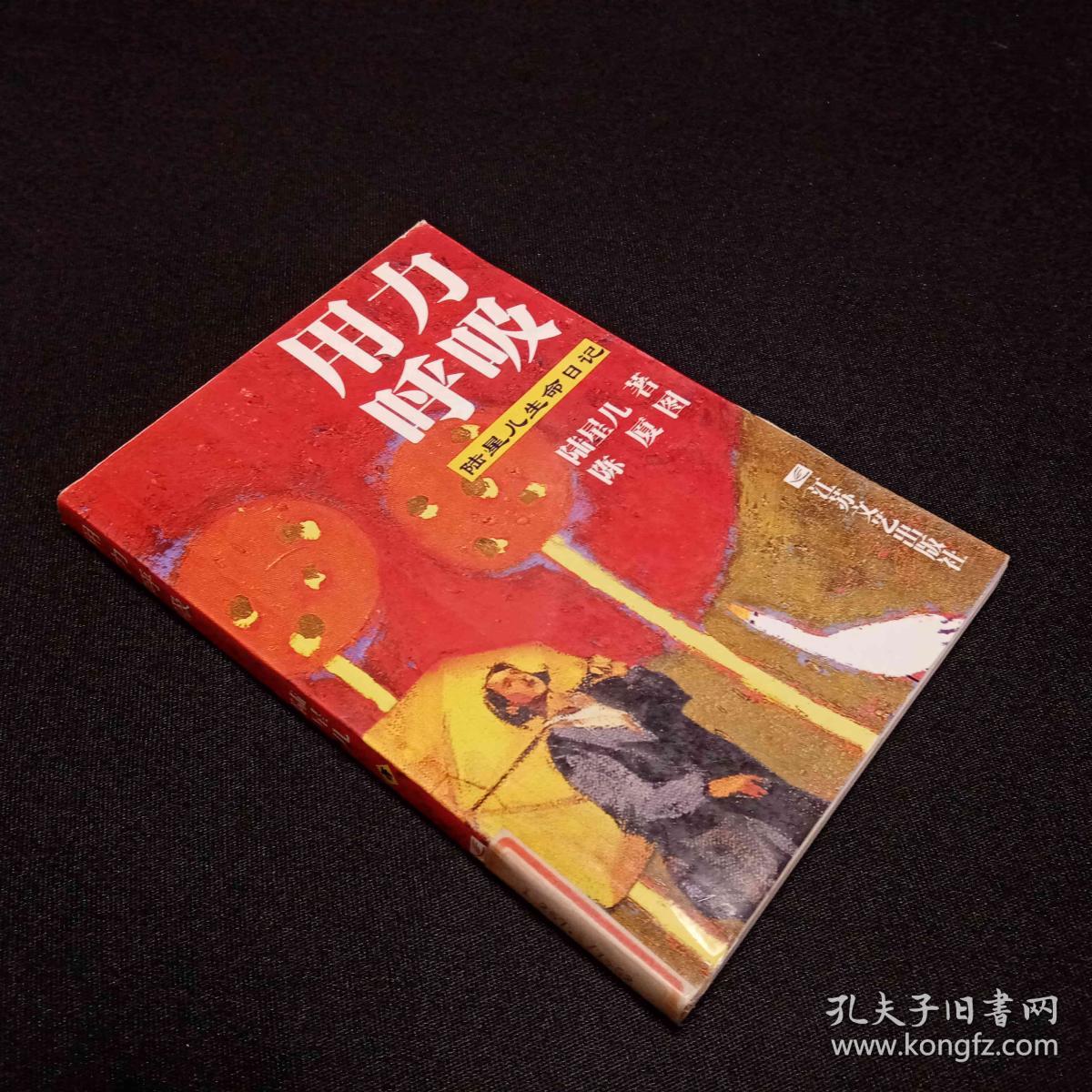 用力呼吸：陆星儿生命日记