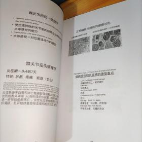 私人健身教练基础理论课+私人健身教练康复训练课程(康复训练)2本和售 有笔记划线 实物图