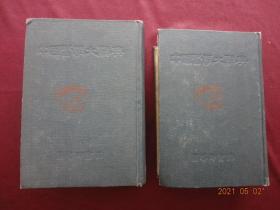 中国医学大辞典（第二、三册）[两册合售]