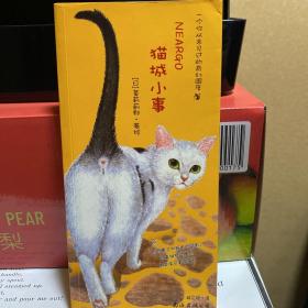 猫城小事