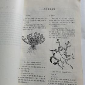 药用植物鉴别图志