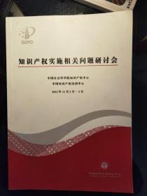 知识产权实施相关问题研讨会