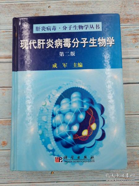 现代肝炎病毒分子生物学（第2版）