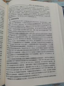 现代肝炎病毒分子生物学（第2版）