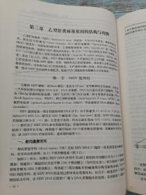 现代肝炎病毒分子生物学（第2版）
