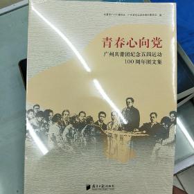 青春心向党广州共青团纪念五四运动100周年图文集